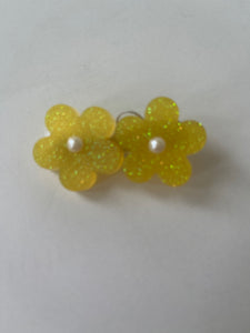 2 flowers resin hair clips