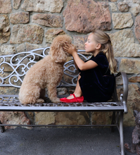 Load image into Gallery viewer, Red classic velvet mary jane hi
